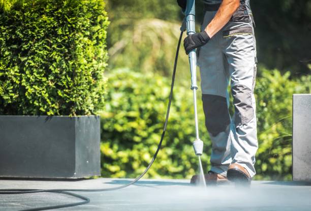 Animal Enclosure Cleaning in Mount Vernon, VA