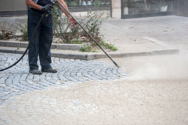 Best House Exterior Washing  in Mount Vernon, VA