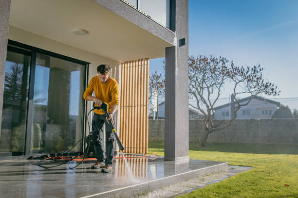 Best Patio and Deck Pressure Washing  in Mount Vernon, VA
