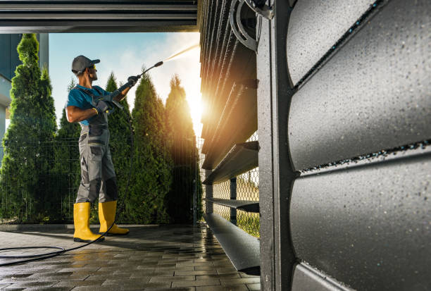 Professional Pressure Washing Services in Mount Vernon, VA